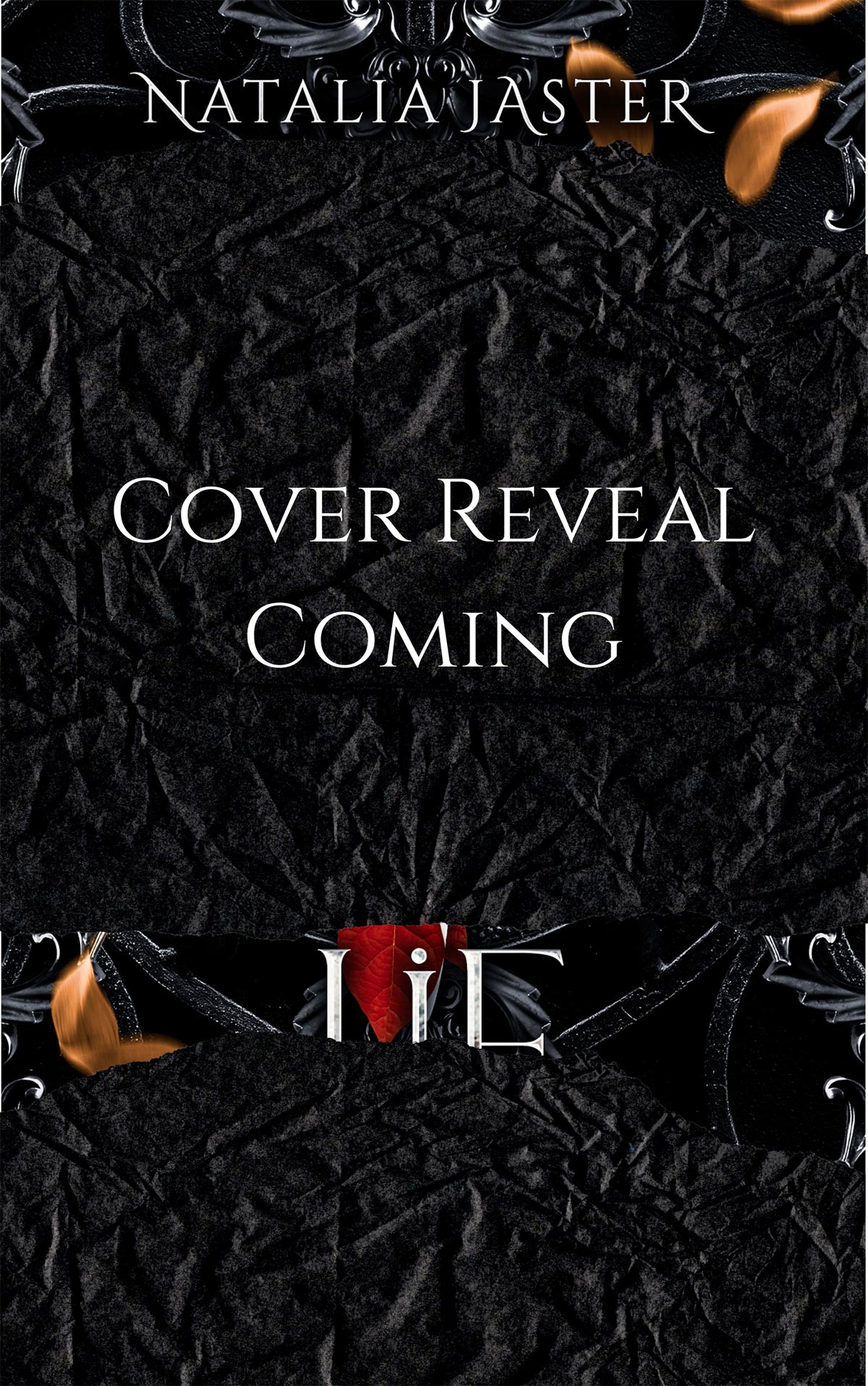 Cover teaser for Lie by Natalia Jaster